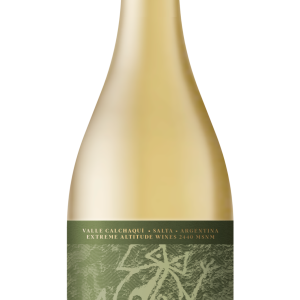 Tozudo Torrontés 2024 (6 bot.) - PT